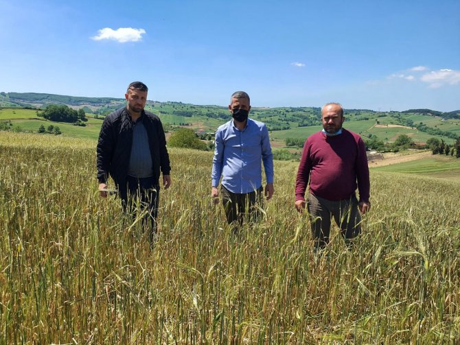 Büyükşehirden Doludan Tarlaları Zarar Gören Çiftçiye Tohum Desteği