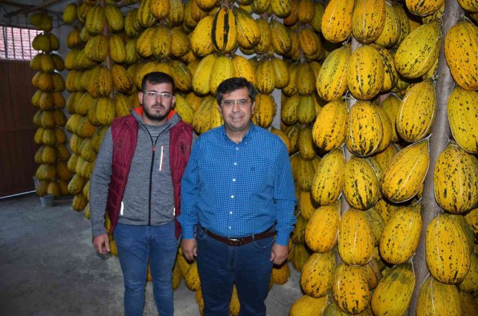 Kırkağaç’ın Yazlık Kavunları Kışlık Sofralar İçin Bekliyor
