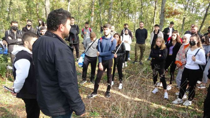 Üniversite Öğrencileri Meşe Palamudu Topladı