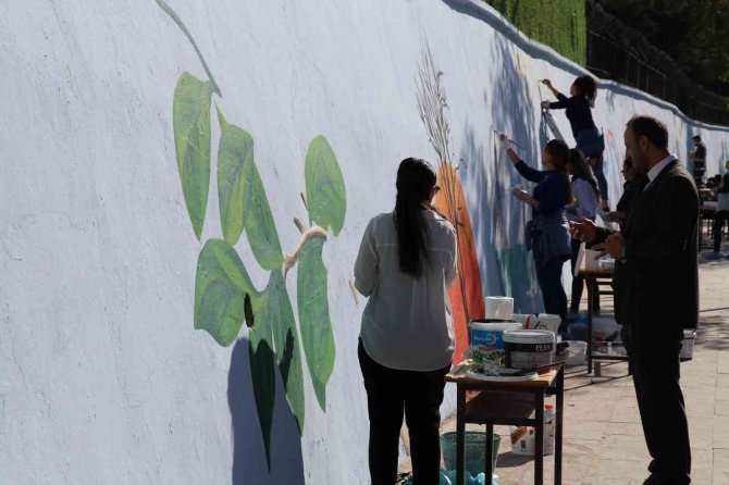 Siirt Belediyesi Duvarları Renklendiriyor