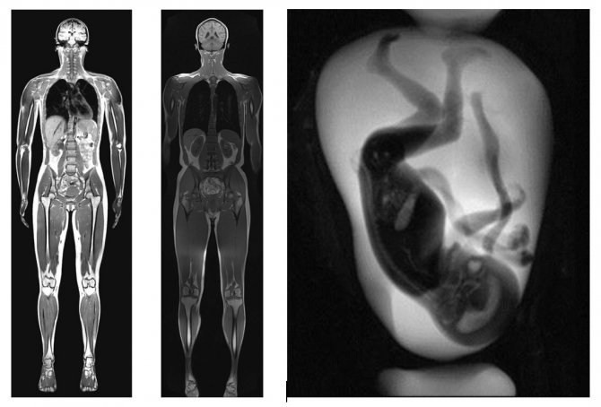 Tıbbın Gören Gözleri Ve Görünmeyen Emekçilerinin Günü