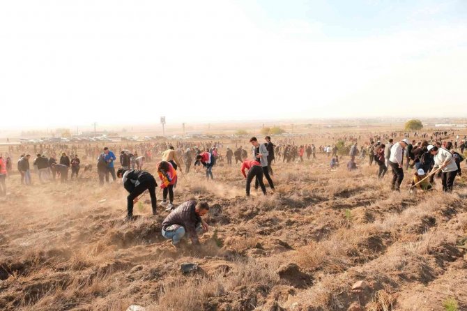 11 Kasım Ağaç Bayramı Hazırlıkları Tamamlanmak Üzere