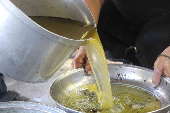 Yüzlerce Yıllık Gelenek İle Zeytinyağı Üretiyorlar