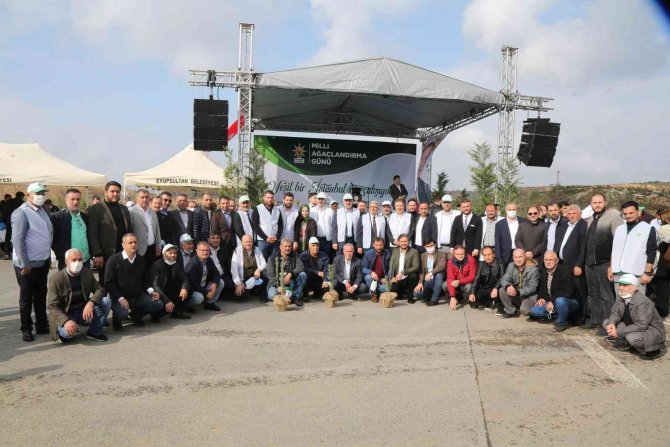 Işıklar Köyü’nde 11 Bin Fidan Dikildi