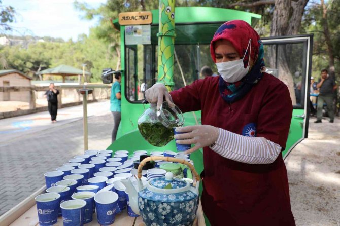 Hayvanat Bahçesi’ne ‘Koku Bahçesi’ Kuruldu