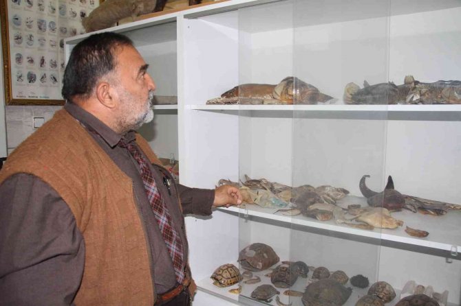Türkiye İç Sularına Nasıl Girdiği Bilinmiyor, Kilosuna Göre Havyarı 20 Milyon Liraya Alıcı Buluyor