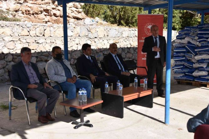 Doğanşehir’de Üreticilere Kaba Yem Tohumu Desteği