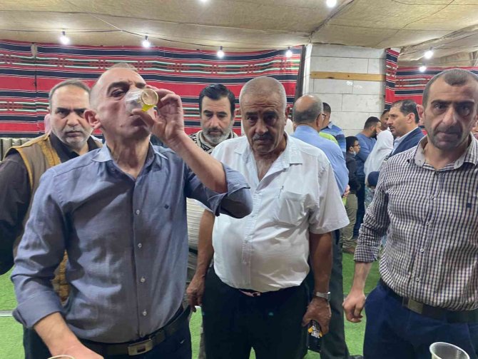 Filistin’de 2. Zeytin Festivali