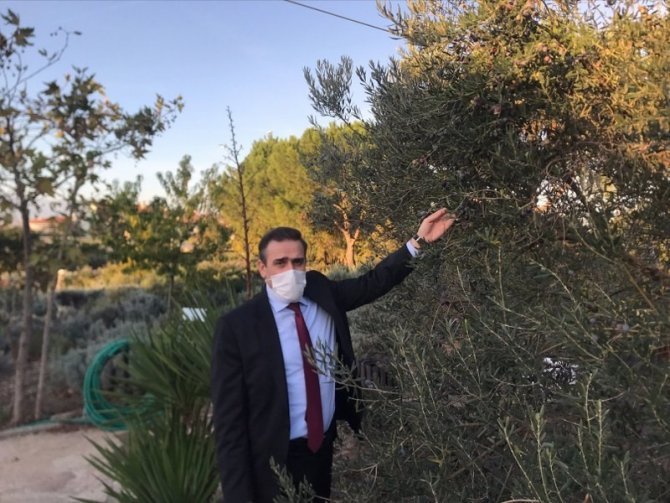 Burhaniye Kaymakamı Zeytinyağı İşletme Ziyaretlerine Devam Ediyor