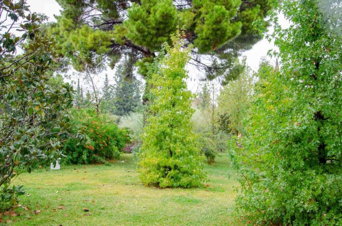 ‘Botanik Bahçesi’ Kapılarını Açıyor