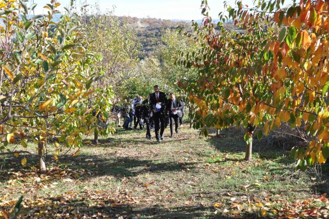Vali Ve Protokol Üyelerinden Kestane Hasadı