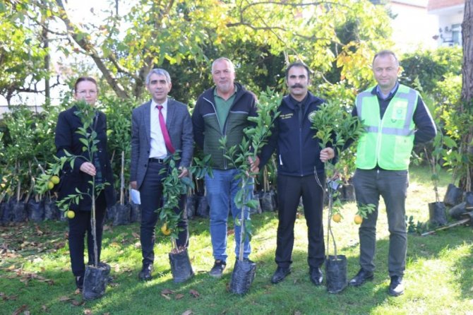 Ordu’da Üreticiye Narenciye Desteği