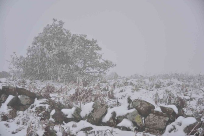 Ordu’nun Yükseklerinde Kar Yağışı