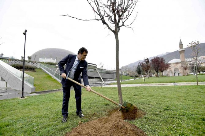 Yeşil Bursa’ya Osmangazi Katkısı