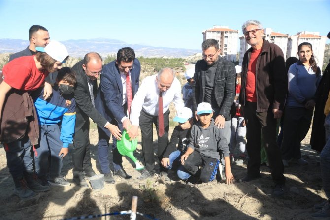 Pamukkale’de Park Ve Ağaçlandırma Projesi