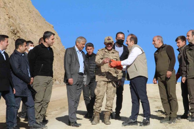 Tedavisi Tamamlanan 2 Kuş, Şırnak Valisi Pehlivan Tarafından Doğaya Salındı