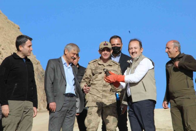 Tedavisi Tamamlanan 2 Kuş, Şırnak Valisi Pehlivan Tarafından Doğaya Salındı