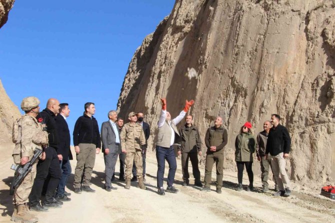 Tedavisi Tamamlanan 2 Kuş, Şırnak Valisi Pehlivan Tarafından Doğaya Salındı