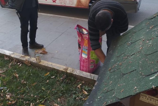 Sokak Hayvanları İçin Yemleme Çalışmaları Devam Ediyor
