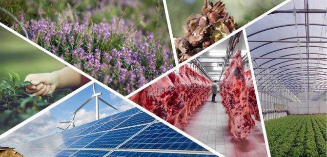 Kırsal Kalkınma Yatırımlarının Desteklenmesi Programında 15. Etap Başvuruları Başladı