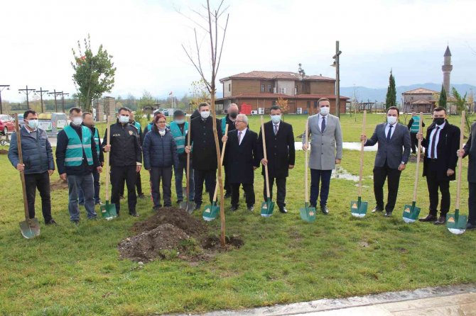 Protokol Ve Yükümlüler Fidan Dikti