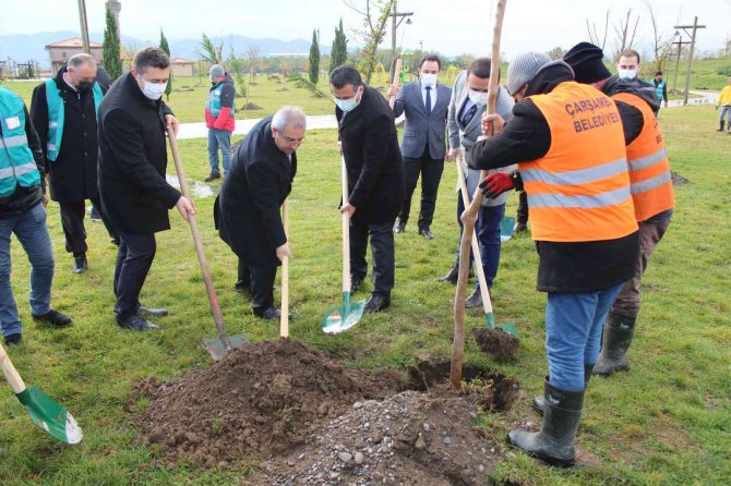 Protokol Ve Yükümlüler Fidan Dikti