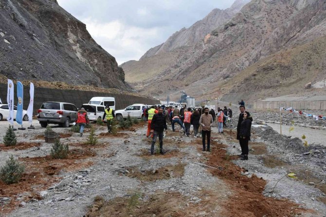 Vali Akbıyık: “Hakkari’de 87 Bin Fidan Dikeceğiz”