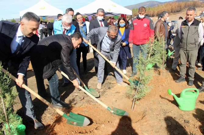 Fidanlar Toprakla Buluştu