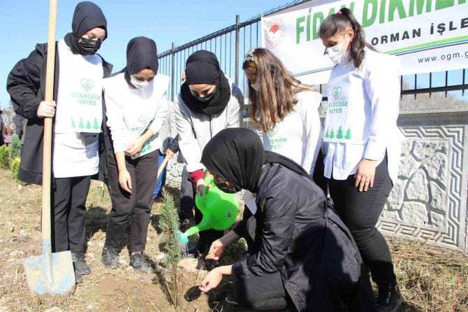 Akyazı’da Geleceğe Nefes Olacak Yeni Fidanlar Toprakla Buluştu