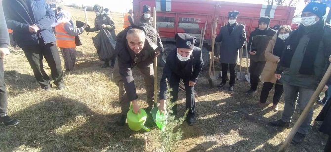 Daday’da 5 Bin 250 Fidan Toprakla Buluştu