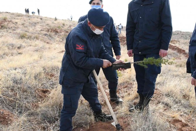 Aksaray’da 826 Bin Fidan Topraklı Buluşturuldu
