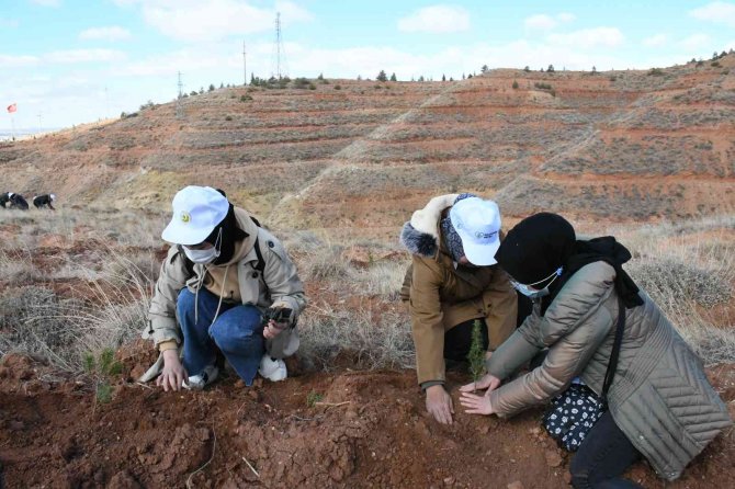 Aksaray’da 826 Bin Fidan Topraklı Buluşturuldu