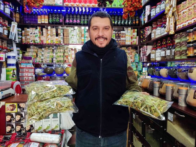 Zor Toplama Şartları Ihlamur Fiyatında En Önemli Sebep