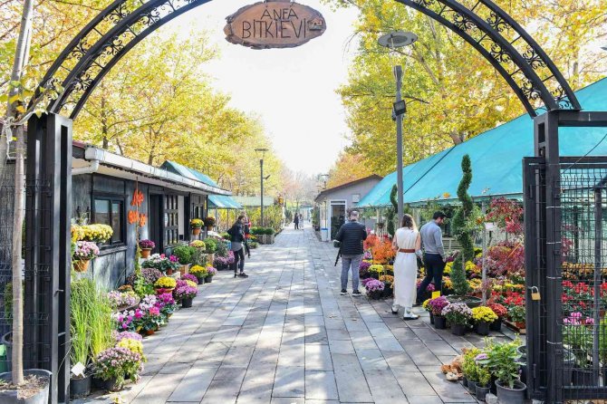 Meyve Ağacı Dikim Mevsimi Başladı: Anfa Bitki Evi Meyve Ağacı Çeşitliliğiyle Başkentlileri Bekliyor