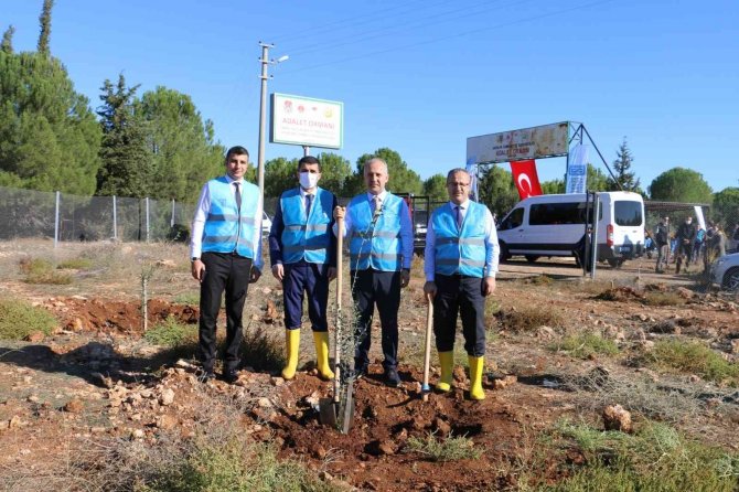 Antalya Cumhuriyet Başsavcılığı, 28 Bin Metrekare Alanda Fidan Dikti