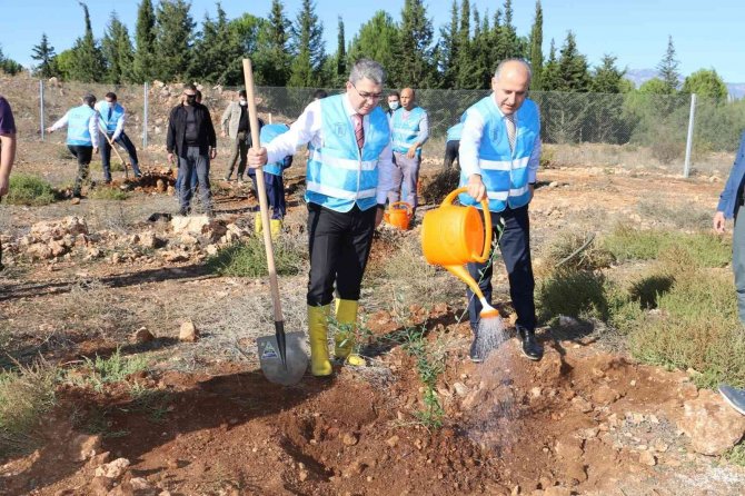 Antalya Cumhuriyet Başsavcılığı, 28 Bin Metrekare Alanda Fidan Dikti