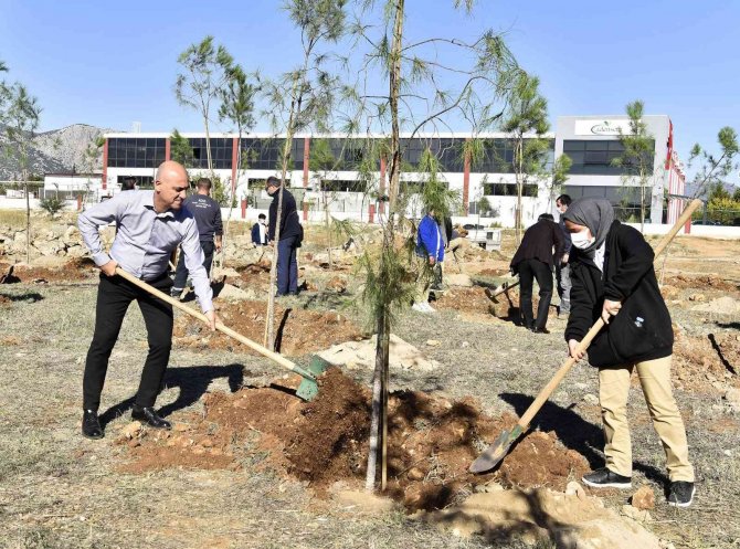 Antalya Osb Teknik Koleji Öğrencileri Fidan Dikti