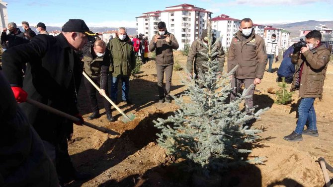 Ardahan’da Binlerce Fidan Toprakla Buluştu