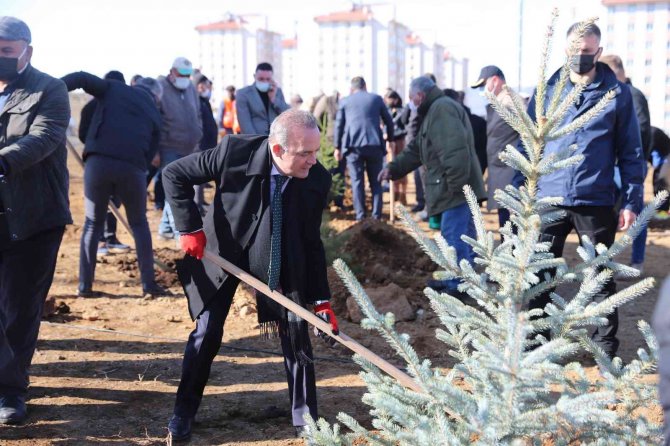 Ardahan’da Binlerce Fidan Toprakla Buluştu