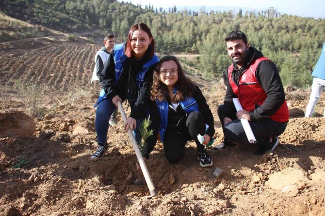 Aydın’da 8 Milyon Fidan Toprakla Buluştu