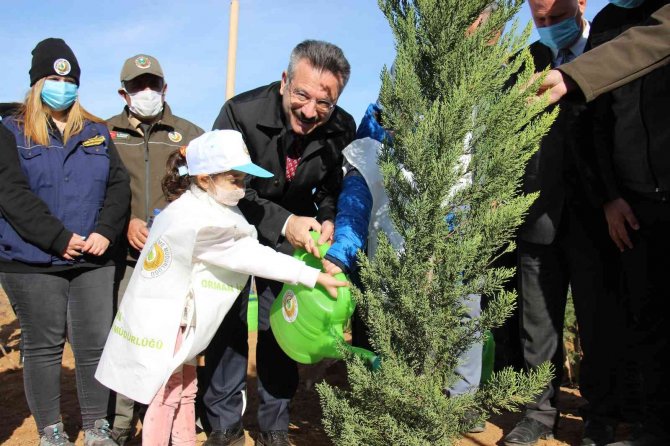 Aydın’da 8 Milyon Fidan Toprakla Buluştu
