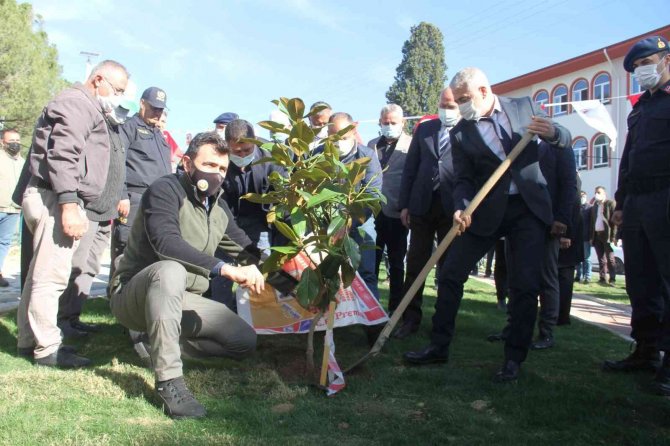 Milli Ağaçlandırma Günü’nde Kuyucak’ta Fidanlar Toprakla Buluştu