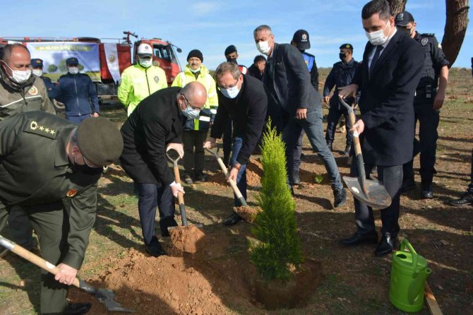 Ayvalık’ta 11 Kasım Milli Ağaçlandırma Günü Kapsamında 500 Fidan Toprakla Buluştu