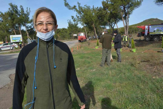 Ayvalık’ta 11 Kasım Milli Ağaçlandırma Günü Kapsamında 500 Fidan Toprakla Buluştu