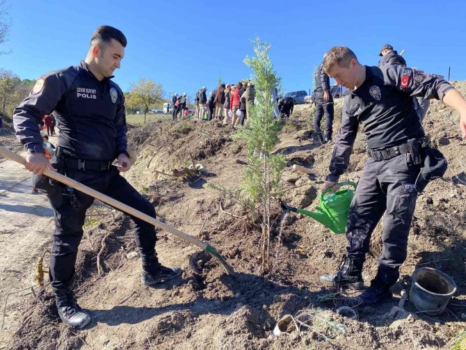 Bartın’da 39 Bin 500 Fidan Toprakla Buluşturuldu