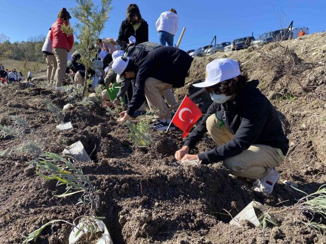 Bartın’da 39 Bin 500 Fidan Toprakla Buluşturuldu