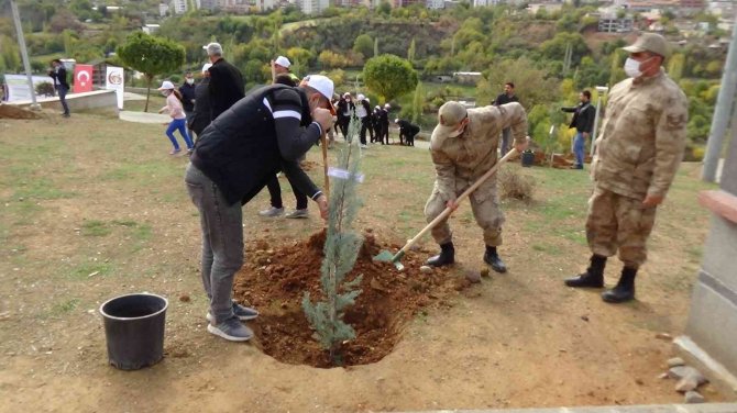 Batman’da Dikilen Fidanlara 15 Temmuz Şehitlerinin İsimleri Verildi