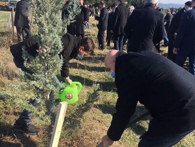 Bandırma Belediyesi Ağaçlandırma Projesine Destek Verdi.