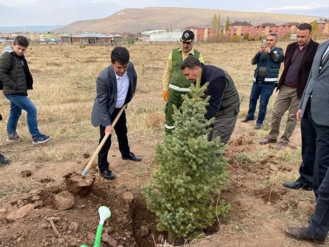 Güroymak’ta Fidan Dikimi