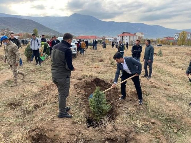 Güroymak’ta Fidan Dikimi